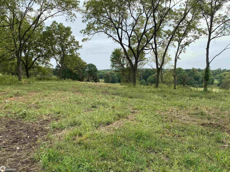 LOTS & LAND at 000 Hwy J29, Centerville, 52544 Iowa - Listing ID 6309381 by CharlesKenyon Jr.
